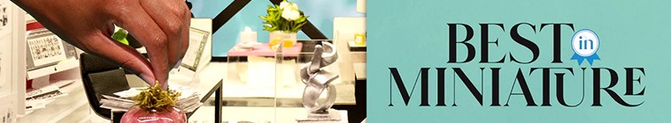 Banner voor Best in Miniature