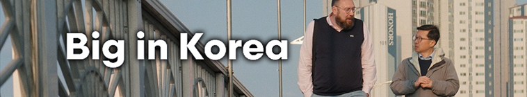 Banner voor Big in Korea