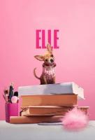 Poster voor Elle