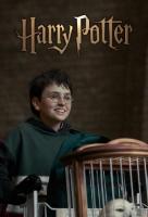 Poster voor Harry Potter