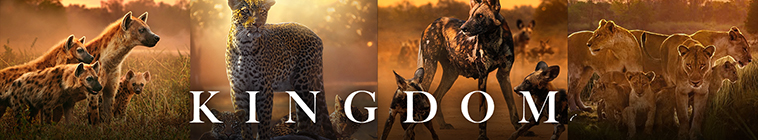 Banner voor Kingdom