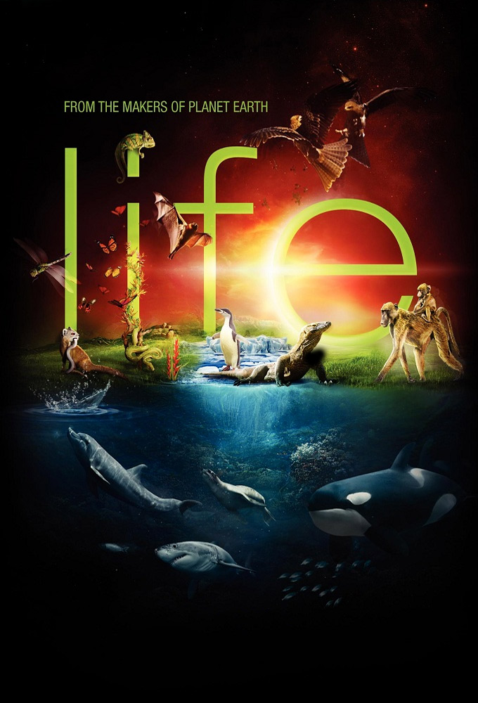 Poster voor Life