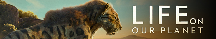 Banner voor Life on Our Planet