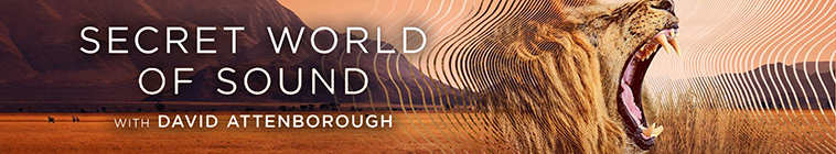 Banner voor Secret World of Sound