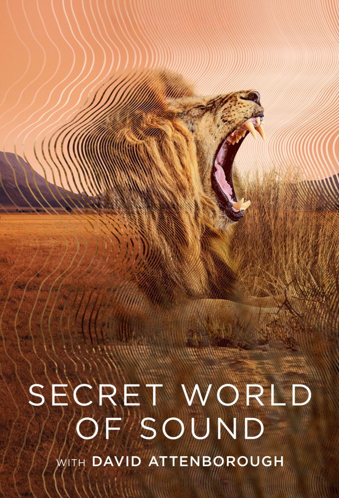 Poster voor Secret World of Sound