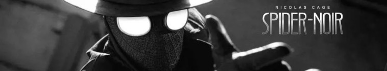 Banner voor Spider-Noir