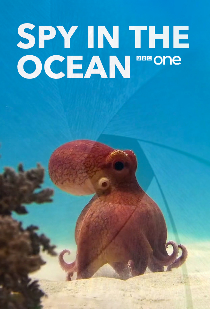 Poster voor Spy in the Ocean