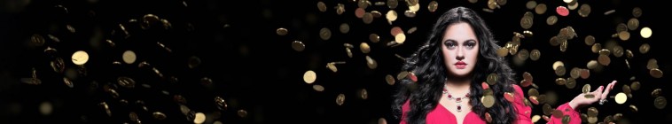 Banner voor Take the Money and Run