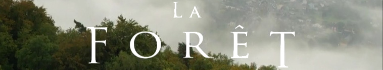 Banner voor The Forest