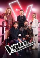Poster voor The Voice van Vlaanderen